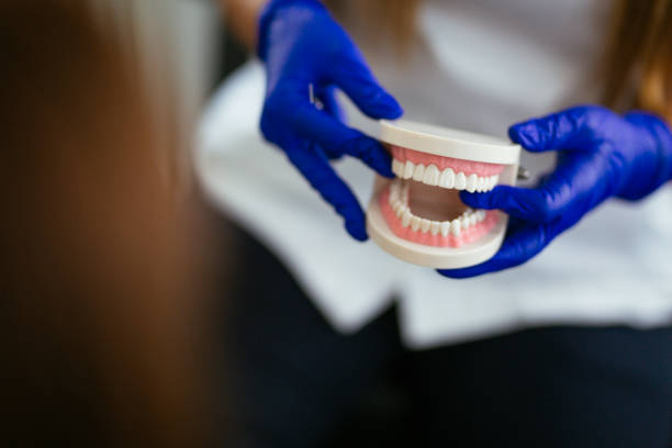 Best Dental Inlays and Onlays  in Citrus Park, FL