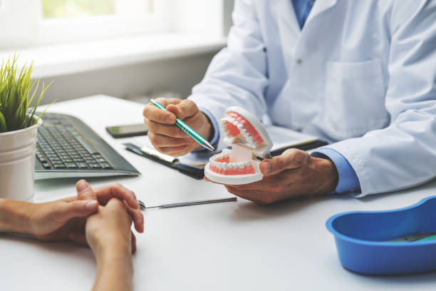 Best Pediatric Dentistry  in Citrus Park, FL