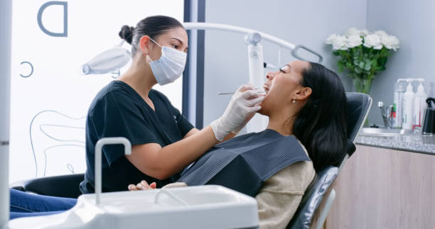 Best Root Canal Treatment  in Citrus Park, FL